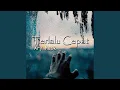 Download Lagu Terlalu Cepat