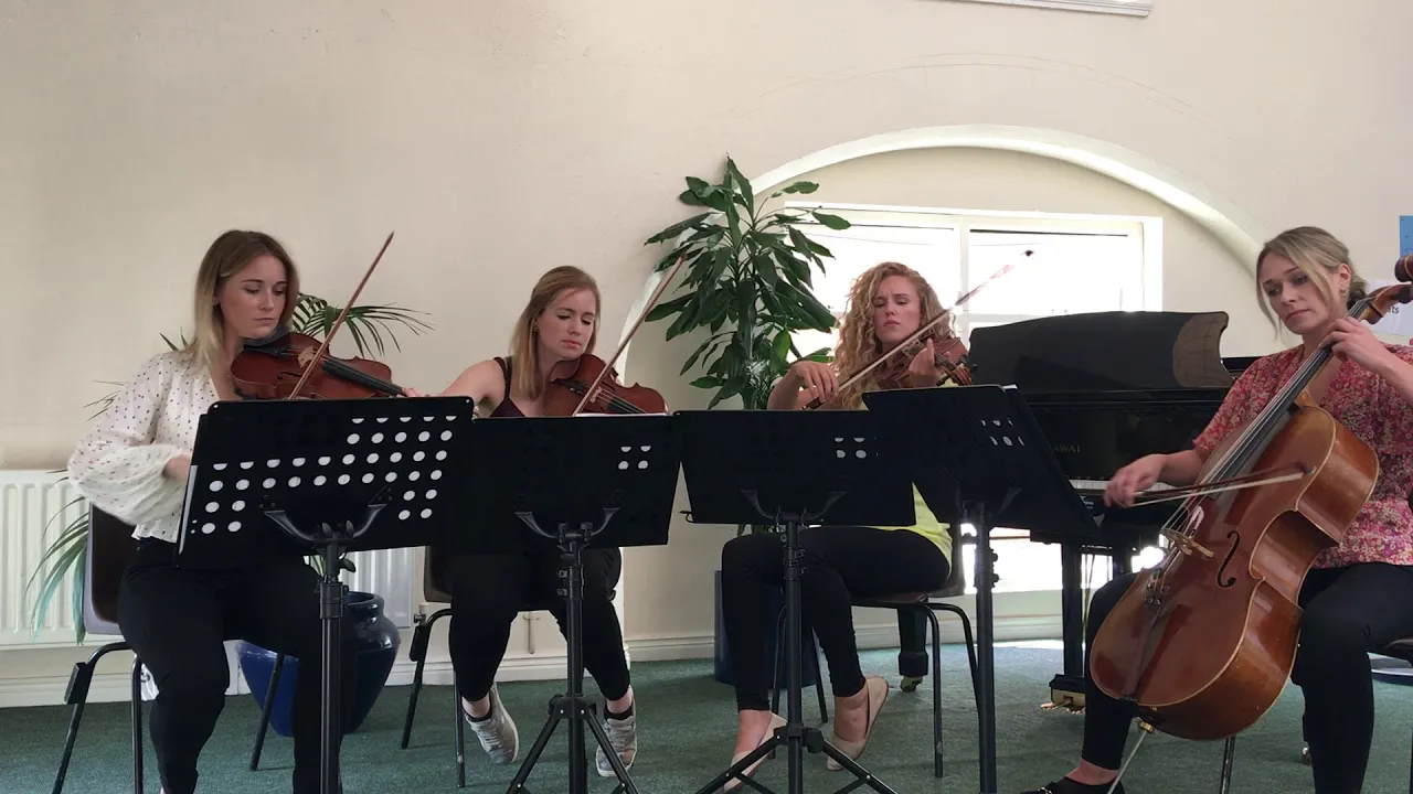 Take Me To Church- A cover by Leinster String Quartet Take Me To Church- A cover by Leinster String Quartet