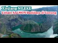 Download Lagu 🍣 China Memang BEDA ‼️ Cobain SALMON Hasil BUDIDAYA di GUNUNG