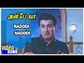 Lagu Anbe Vaa Tamil Movie | Nadodi Nadodi Song | Video Songs | MGR | Saroja Devi | M S Viswanathan