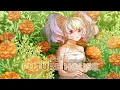 Download Lagu Kanallia - Marigold