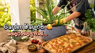 මගේ Garden Day එක + ගෙදර හදපු පාන් 🥰 Homemade Bread Recipe - Bandifull
