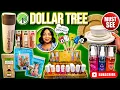 Dollar Tree New Arrivals Shop With Me