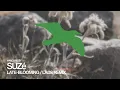 SUZé Late-Blooming (LADS Remix)