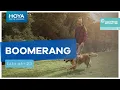 Download Lagu HOYA | LIFESTYLE 3 | BOOMERANG - Easy as 1,2,3