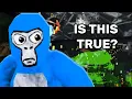 Gorilla tag is getting deleted