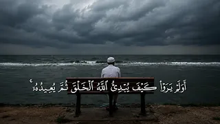القارئ عبدالرحمن مسعد تلاوة سورة العنكبوت تلاوة تريح السمع والقلب   دندنها