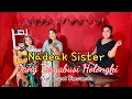 Download Lagu DANG TARGABUSI HOLONGKI - NADEAK SISTER Cover