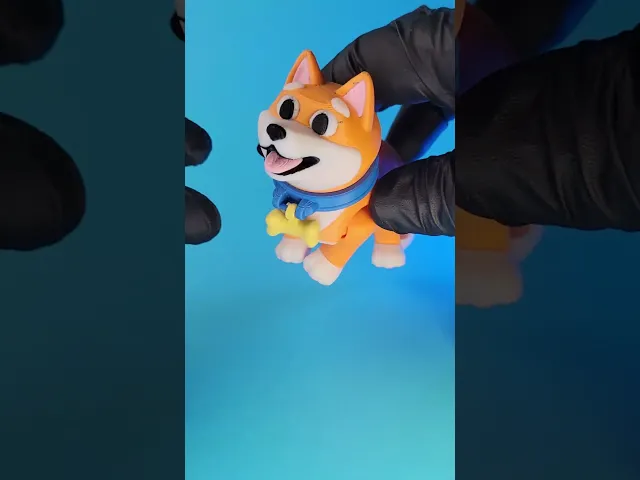 Shibby - Felxi Shiba Inu with accessories video thumbnail