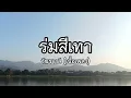 ร่มสีเทา - วัชราวลี (เนื้อเพลง)