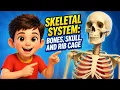 Skeletal System Bones Skull and Rib Cage
