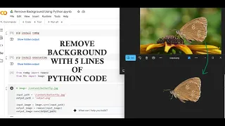 Remove Background from an Image using 5 Lines of Python Code