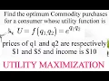 utility maximization using lagrange method constrained optimisation