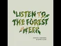 Listen to the Forest Weep
