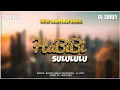 Download Lagu HaBiBi Sulululu | Dj Jatin | Bhavin Vasava | Dj Shrey