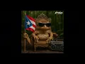 EFKTO - El Coquí 🐸🇵🇷