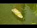 Download Lagu titanic