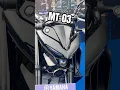 Download Lagu Street Predator: The Naked Twin Yamaha MT-03 Walkaround #motorcycle #shorts