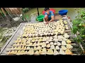 Download Lagu How to pick bamboo shoots, boil them, and dry them with the help of sunlight. Nam's daily life