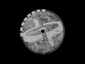 Space Frog - X Ray (Follow Me) (X-tended Vox) (Vocal)