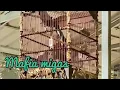 Download Lagu KACER ROLL TEMBAK ( MAFIA MIGAS) milik team halliburton SF