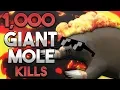 Loot From 1 000 Giant Mole