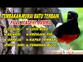 Lagu 🔴 LIVE 02 - Masteran Murai Batu Malam Hari Bongkar Isian Cocok buat Murai trotol dan pastol