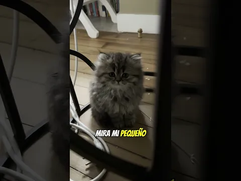 ¡Este tobogán de agua esconde un secreto aterrador… 😱