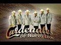 Comprendala - CARDENALES DE NUEVO LEON