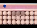 Download Lagu Iklan Losyen NIVEA Extra Bright 10 Super (2022)