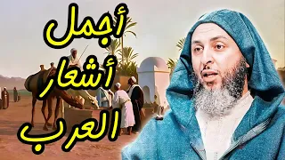أجمل ما قالت العرب من الشعر I الشيخ سعيد الكملي 