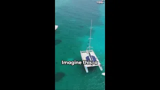 Catamaran Sailing Experience #short