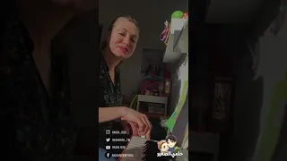 حلمي الصغير رشا رزق 