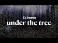 Download Lagu ed sheeran - under the tree (lyrics)