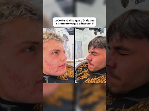 Le Corbz vs des insectes