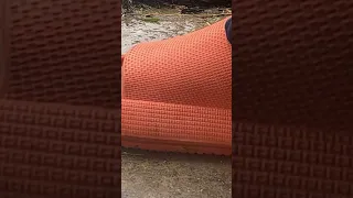 Life Doodles Tomato Crushed Lifedoodles Doodle Shorts Cartoon Doodleart Tomato Crushing 