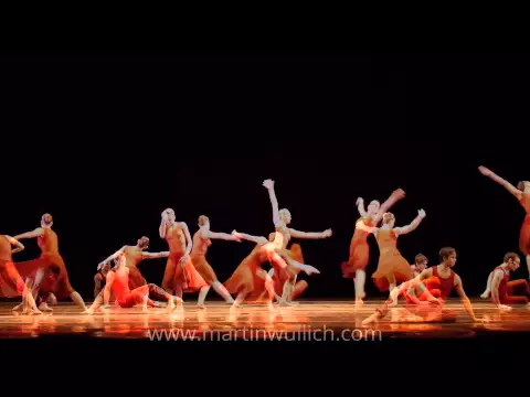 HIMNO A LA ALEGRu00cdA - Ballet Contemporu00e1neo San Martu00edn - martinwullich.com