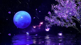 Fall Asleep In Under 3 MINUTES Melatonin Release Increase Deep Sleep Body Mind Restoration 