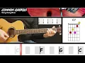 Song Sung Blue - Neil Diamond | EASY GUITAR LESSON | Scrolling Chords & Lyrics
