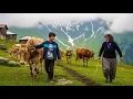 Life Far from Civilization in Türkiye’s Black Sea Highlands | Migration to the Plateaus