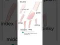 Hands separation example