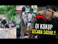 Download Lagu ANDRE SUHEN PUN MENANGIS GEMETAR LIHAT TINGKAH NYA‼️...REACT MEME KOCAK
