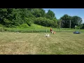 Paw House Park