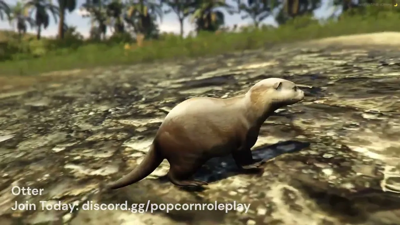 Otter