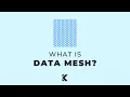 What is Data Mesh
