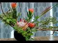 Download Lagu Episode 205  Traditional Japanese Flower Arts - Teaser- J Schwanke's Life in Bloom