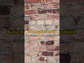 Download Lagu Syiffa Syahla perempuan cantik yang mampu memikat kaum adam dengan suara merdunya #videolyrics
