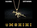 Umshini