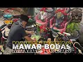 Download Lagu Dj BANTENGAN‼️|| SURO MBALELO ORIGINAL || MAWAR BODAS || Remixer By;@TIOFAMSPROJECT