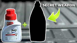 How to Use Concentrated Roundup Weed Killing Hack Review